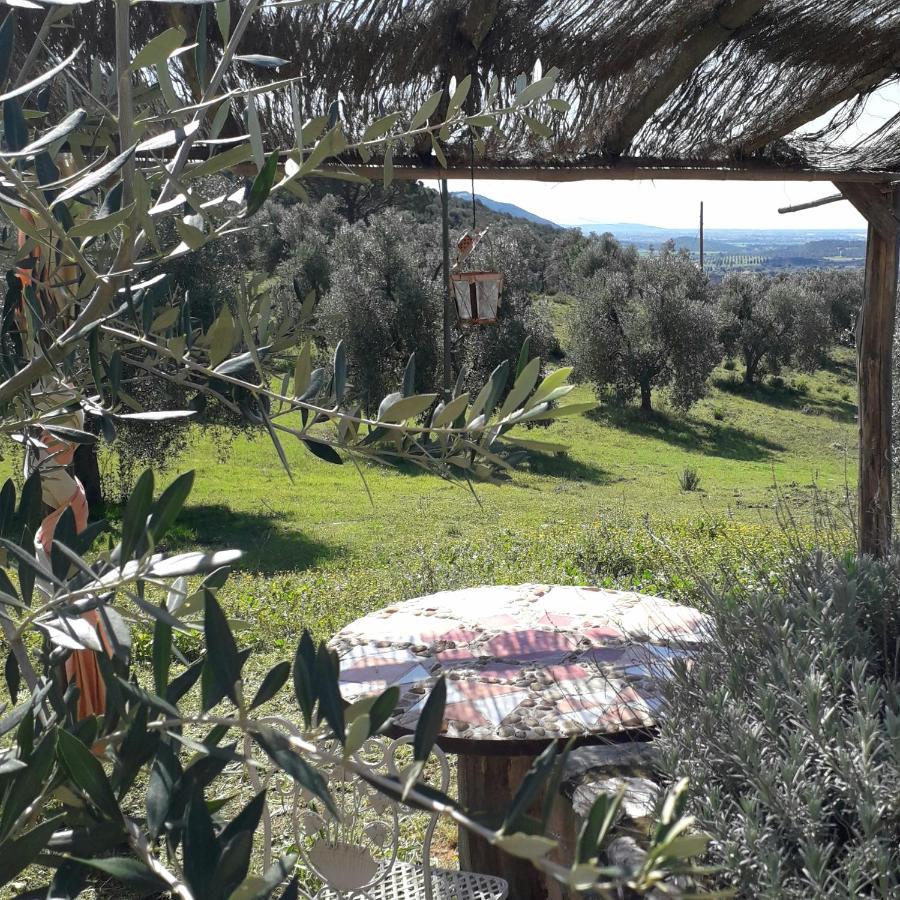 Agriturismo Poggio Falco Batignano Exteriör bild